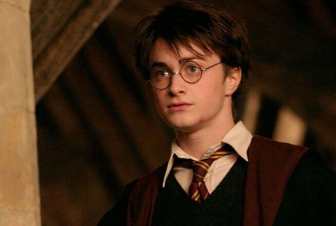 Harry Potter : Daniel Radcliffe pourrait-il apparaître dans la série ? L&rsquo;acteur répond