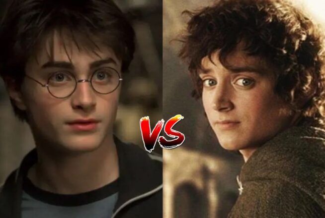 Sondage : qui te ressemble le plus entre Harry Potter et Frodon Sacquet (Le Seigneur des Anneaux) ?