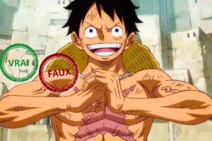 Tu n&rsquo;as jamais loupé un épisode de One Piece si tu as 10/10 à ce quiz vrai ou faux sur Luffy