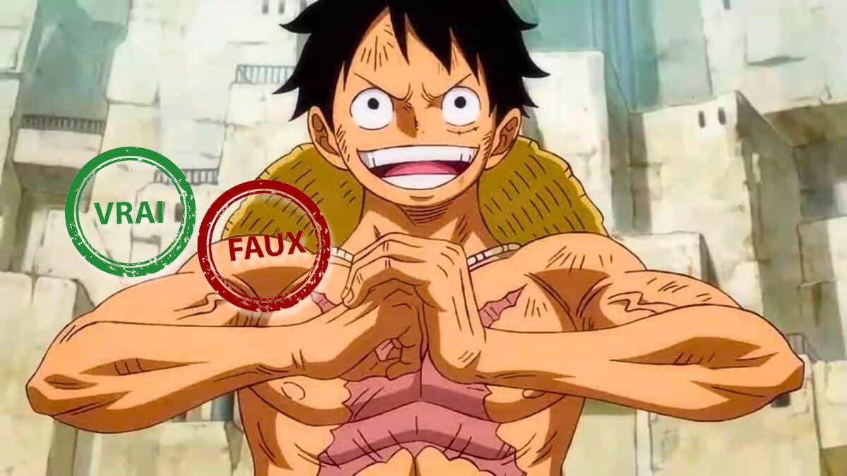 Tu n&rsquo;as jamais loupé un épisode de One Piece si tu as 10/10 à ce quiz vrai ou faux sur Luffy