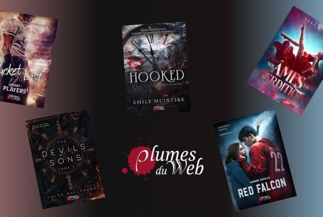 5 romans de Plume du Web à avoir absolument dans sa bibliothèque