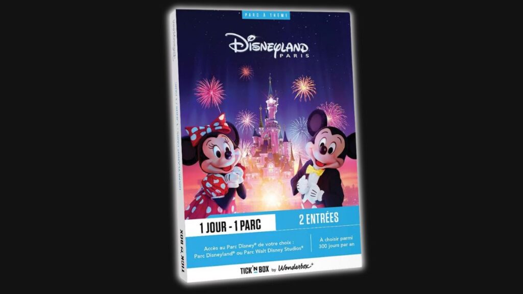 Coffret-cadeau journée à Disneyland Paris