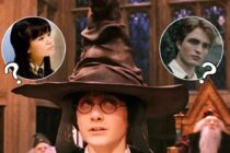Sondage Harry Potter : tu préfères rejoindre Serdaigle ou Poufsouffle ?
