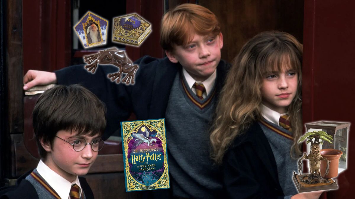 Harry Potter : les 10 plus beaux objets de collection que tous les Potterheads doivent acheter d’urgence