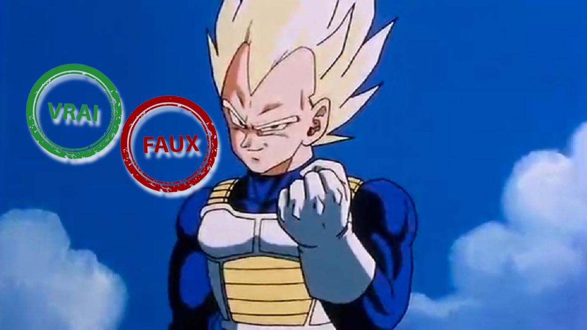 T&rsquo;as grandi avec Dragon Ball si tu as 10/10 à ce quiz vrai ou faux sur Vegeta