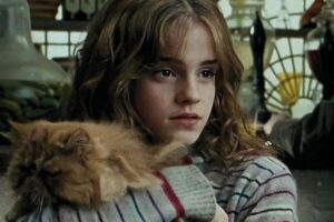 Harry Potter : t&rsquo;es accepté à Poudlard si tu as 5/5 à ce quiz sur Hermione