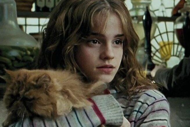 Harry Potter : t&rsquo;es accepté à Poudlard si tu as 5/5 à ce quiz sur Hermione