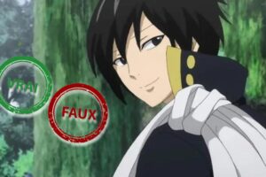 Tu n&rsquo;as jamais vu un seul épisode de Fairy Tail si tu as moins de 7/10 à ce quiz vrai ou faux sur Zeleph