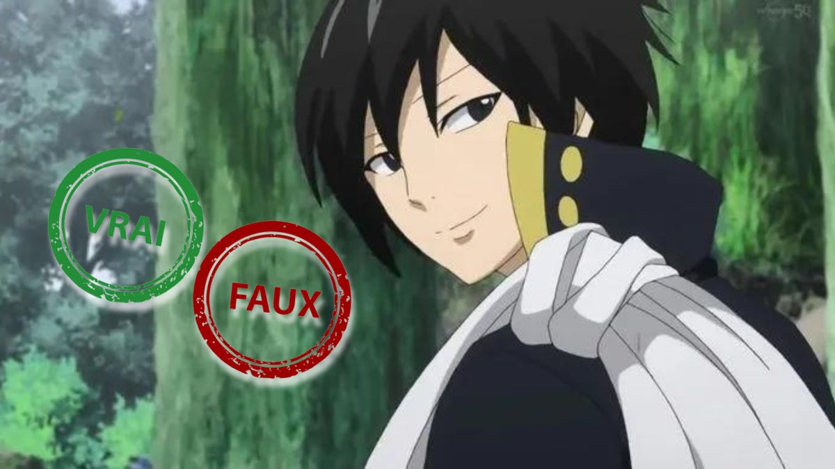 Tu n&rsquo;as jamais vu un seul épisode de Fairy Tail si tu as moins de 7/10 à ce quiz vrai ou faux sur Zeleph