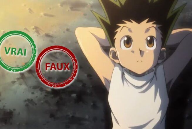 T&rsquo;es un expert Hunter x Hunter si tu as 10/10 à ce quiz vrai faux sur Gon