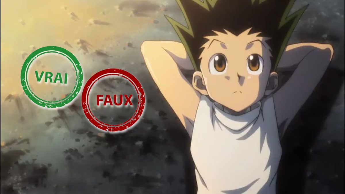 T&rsquo;es un expert Hunter x Hunter si tu as 10/10 à ce quiz vrai faux sur Gon