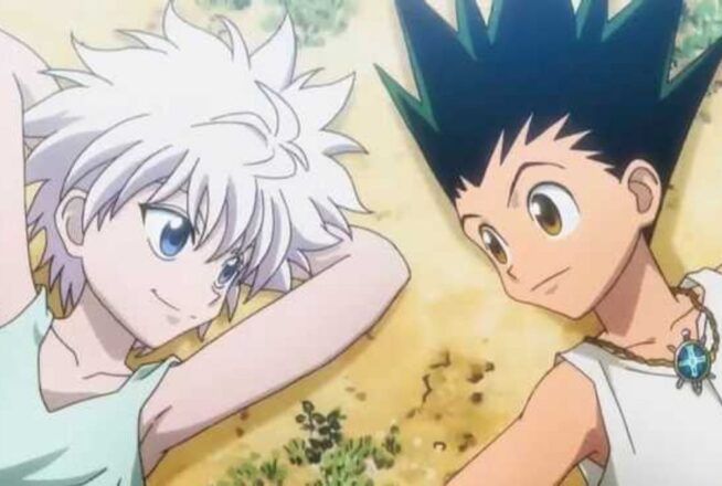 Quiz Hunter x Hunter : élimine 5 personnages, on te dira si tu es Gon ou Kirua