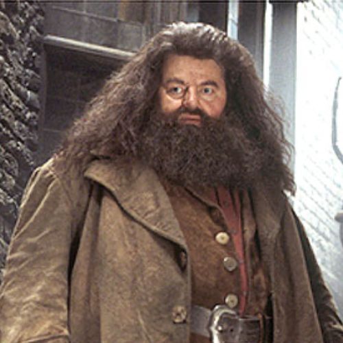 Rubeus Hagrid 