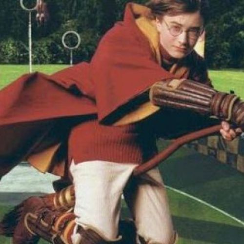 Le balai Nimbus 2000