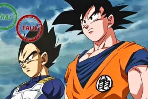 Tu es de la génération Dragon Ball si tu as 7/10 à ce quiz Vrai ou Faux sur Son Goku et Vegeta