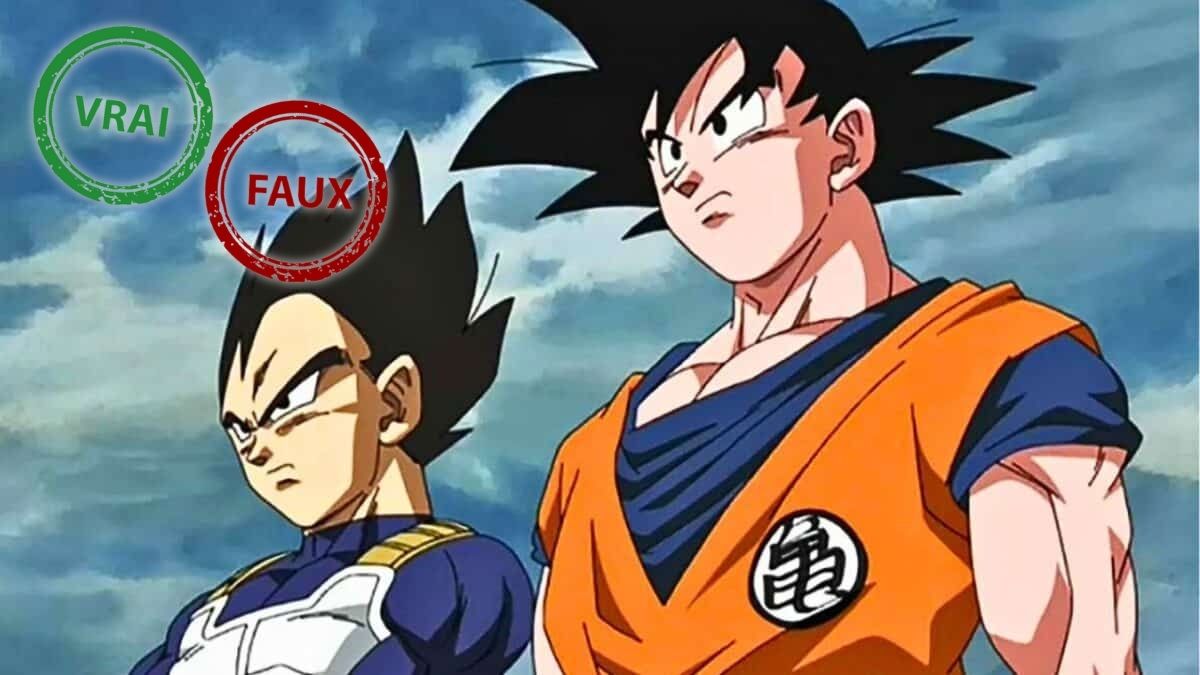 Tu es de la génération Dragon Ball si tu as 7/10 à ce quiz Vrai ou Faux sur Son Goku et Vegeta