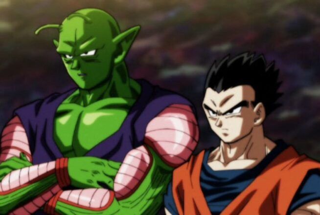 Dragon Ball est l&rsquo;anime de ton enfance si tu as 10/10 à ce quiz sur Gohan et Piccolo