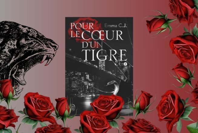 Si vous avez aimé ces films et séries, vous allez dévorer Pour le coeur d’un tigre 2