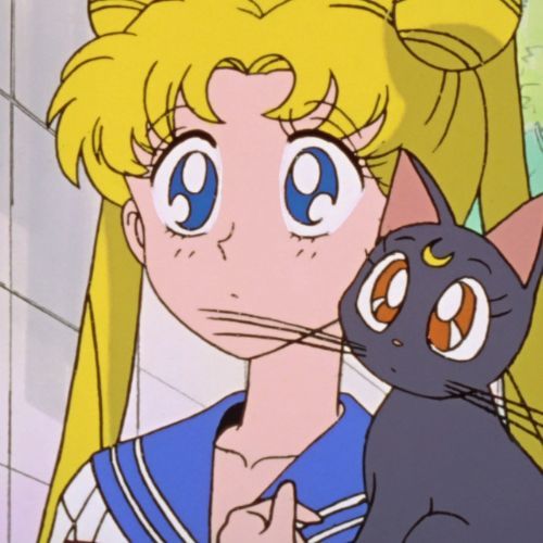 Usagi et Luna