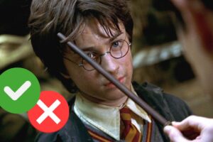 Sondage : Harry Potter et la Chambre des secrets est-il le pire film de la saga ?