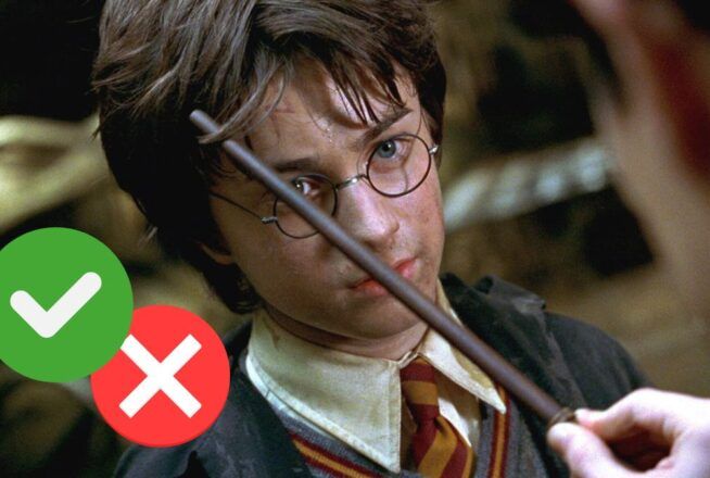 Sondage : Harry Potter et la Chambre des secrets est-il le pire film de la saga ?