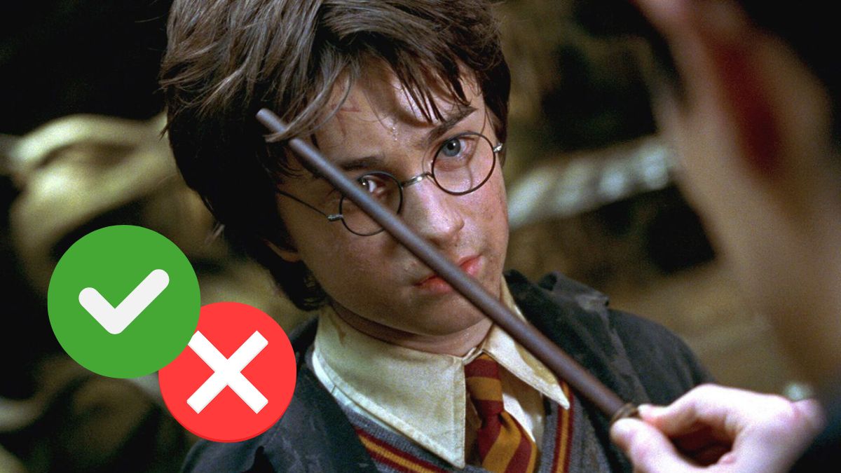 Sondage : Harry Potter et la Chambre des secrets est-il le pire film de la saga ?