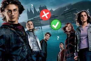 Sondage : Harry Potter et la coupe de feu est-il le meilleur film de la saga ?