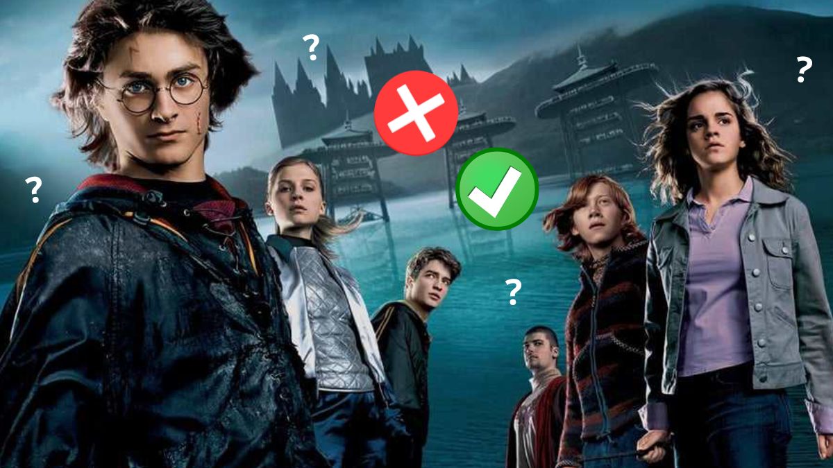 Sondage : Harry Potter et la coupe de feu est-il le meilleur film de la saga ?