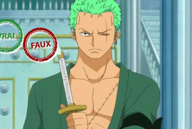 T&rsquo;es de la génération One Piece si tu as 10/10 à ce quiz vrai ou faux sur Zoro