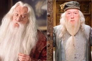 10 acteurs d&rsquo;Harry Potter qui ont été remplacés pendant la saga