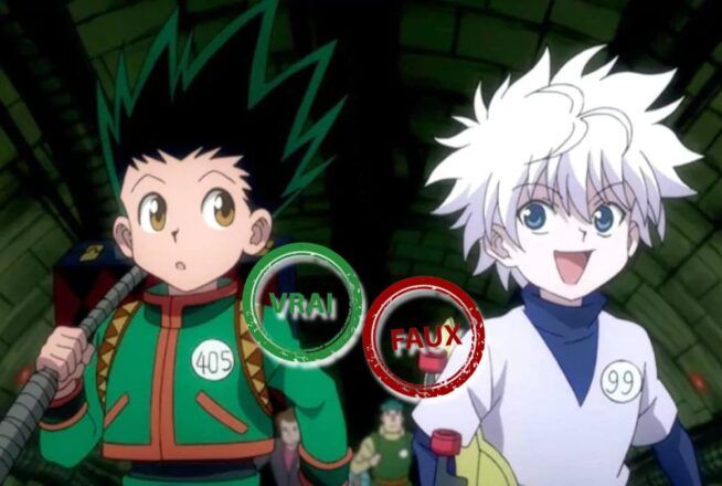 Hunter x Hunter : tu deviens un Hunter si tu as 10/10 à ce quiz vrai ou faux sur l&rsquo;anime