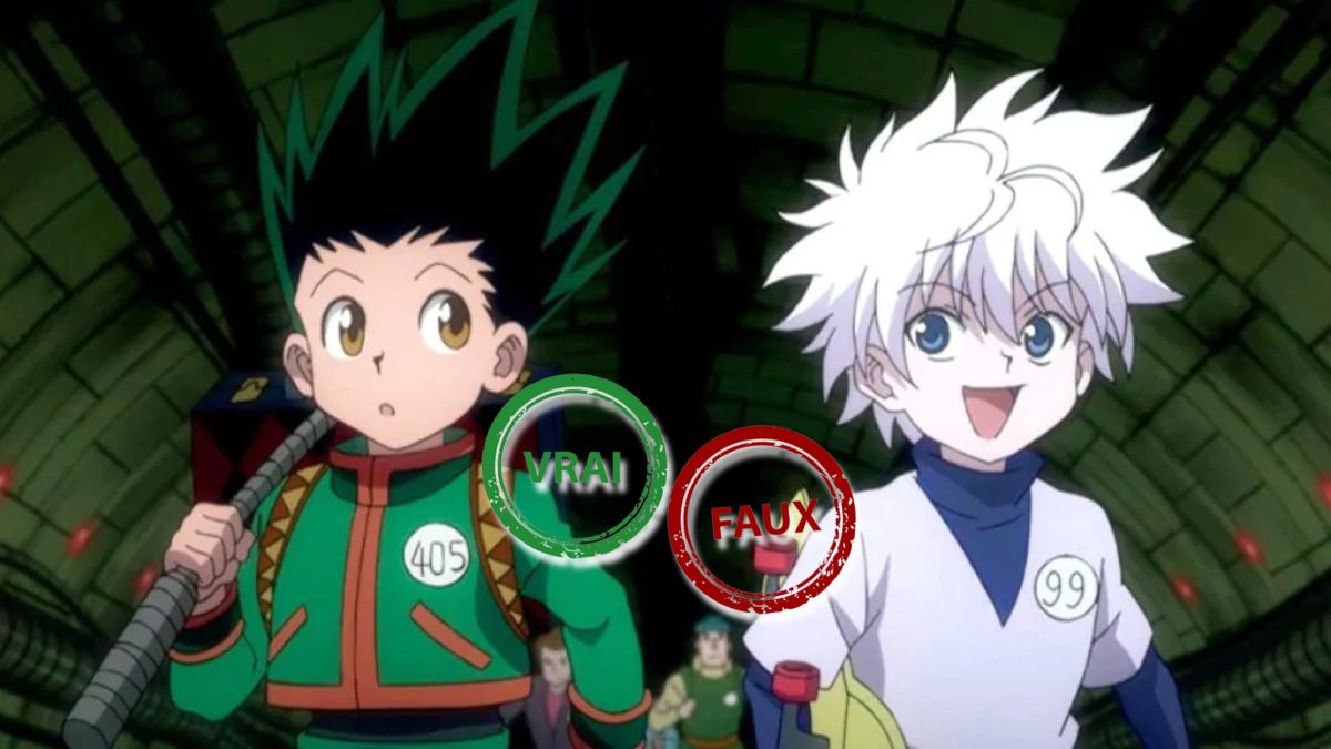 Hunter x Hunter : tu deviens un Hunter si tu as 10/10 à ce quiz vrai ou faux sur l&rsquo;anime