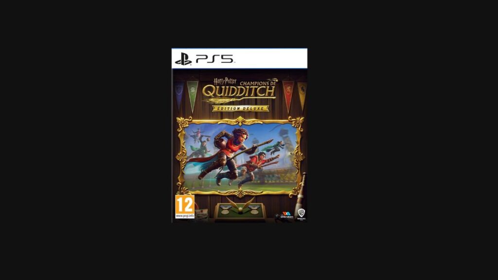 Harry Potter : champions de quidditch jeu vidéo