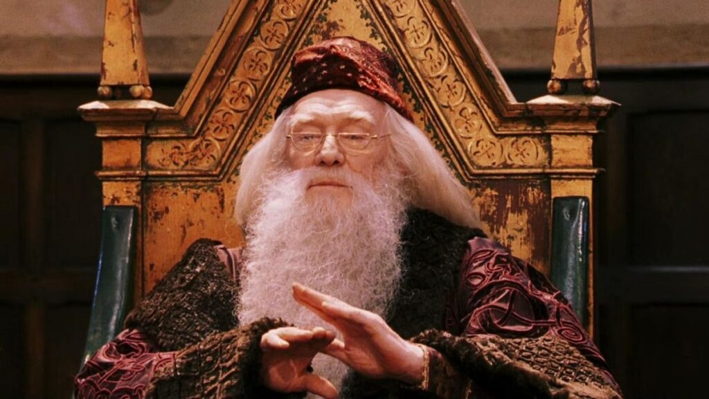 Professeur Dumbledore dans Harry Potter à l'école des sorciers