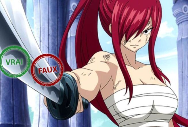 Tu es le prochain maître de Fairy Tail si tu as 10/10 à ce quiz vrai ou faux sur Erza