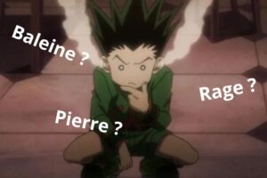 Quiz Hunter x Hunter : tu obtiens ta licence si tu reconnais ces 5 personnages en 3 mots-clés