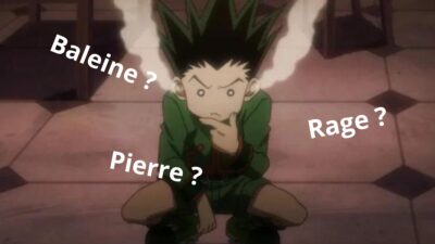 Quiz Hunter x Hunter : tu obtiens ta licence si tu reconnais ces 5 personnages en 3 mots-clés