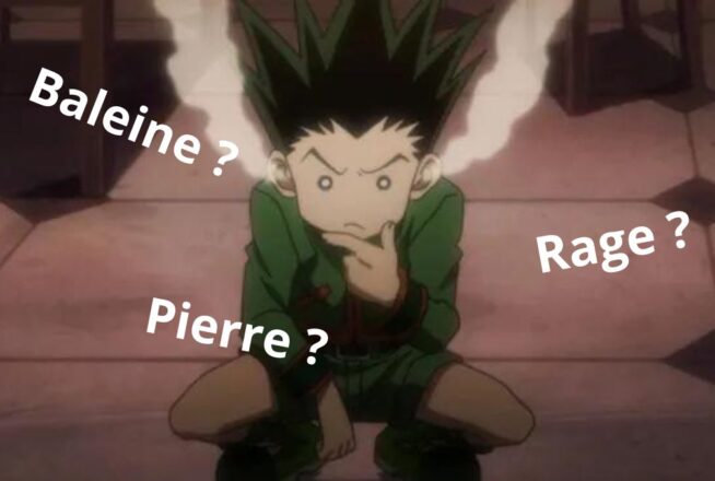 Quiz Hunter x Hunter : tu obtiens ta licence si tu reconnais ces 5 personnages en 3 mots-clés