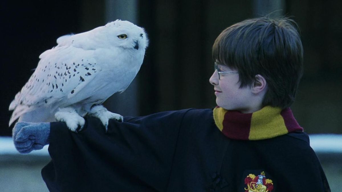 Harry Potter : qui a tué Hedwige?