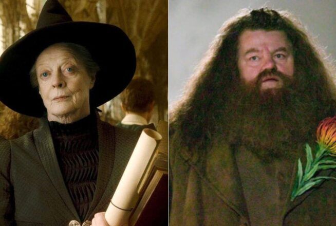 Harry Potter la série : on sait qui pourrait jouer Hagrid et McGonagall&#8230; et il y a des surprises !