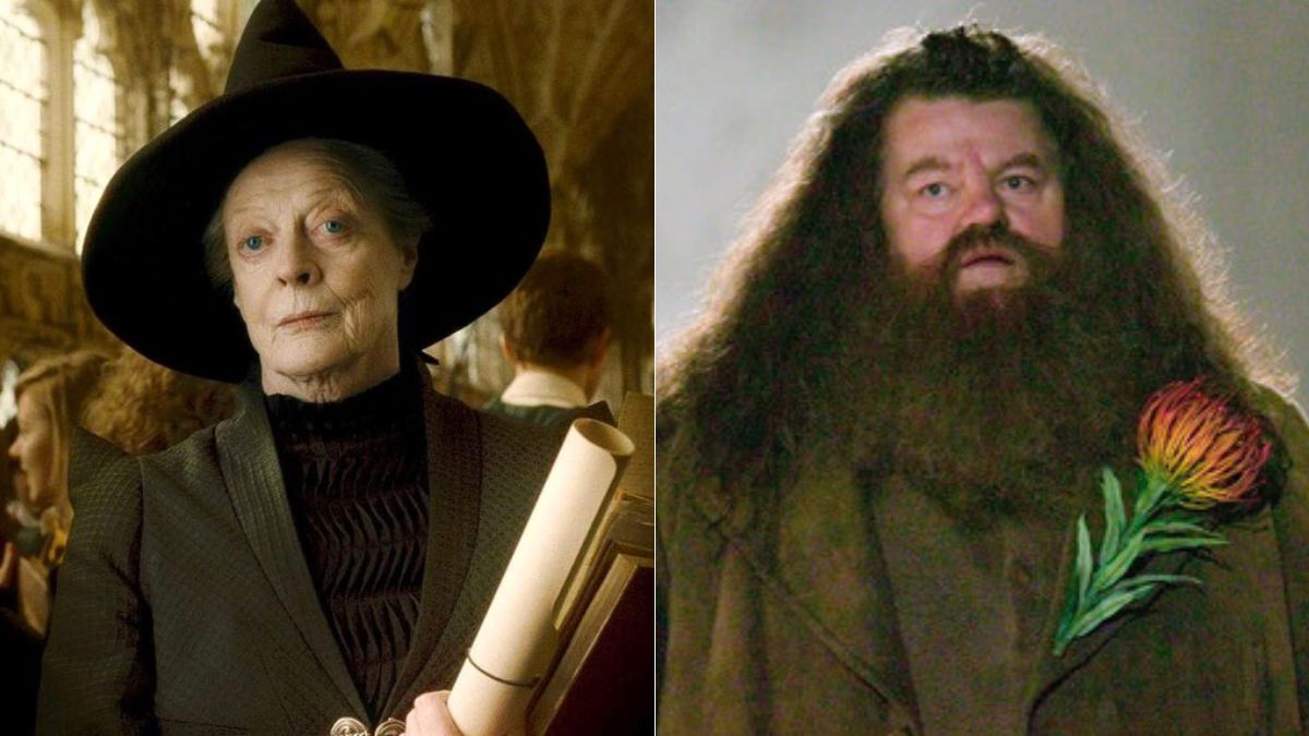 Harry Potter la série : on sait qui pourrait jouer Hagrid et McGonagall&#8230; et il y a des surprises !