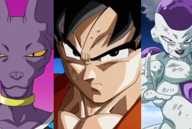 Quiz : élimine 3 personnages de Dragon Ball, on devinera ton âge