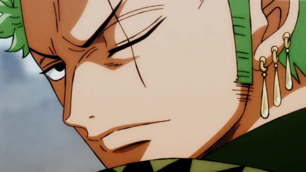 zoro dans one piece