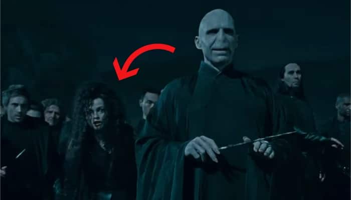 Harry Potter Et Les Reliques De La Mort Partie 2 10 Details Que Vous N Aviez Jamais Remarques