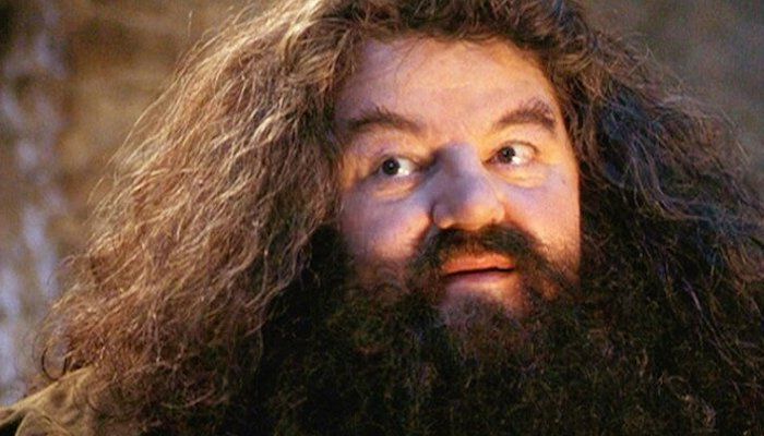 Harry Potter Le Quiz Le Plus Dur Du Monde Sur Rubeus Hagrid